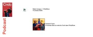 Vignette de L'Artyshow - A nouveau dans la ronde du Cndc dans l'ArtyShow