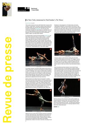 Vignette de In New York, immersed in Noé Soulier's The Waves