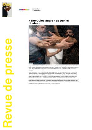 Vignette de « The Quiet Magic » de Daniel Linehan